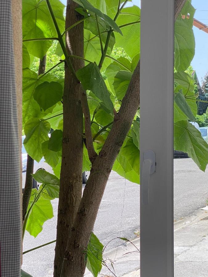 Lou Mut Villa Lectoure Exteriör bild